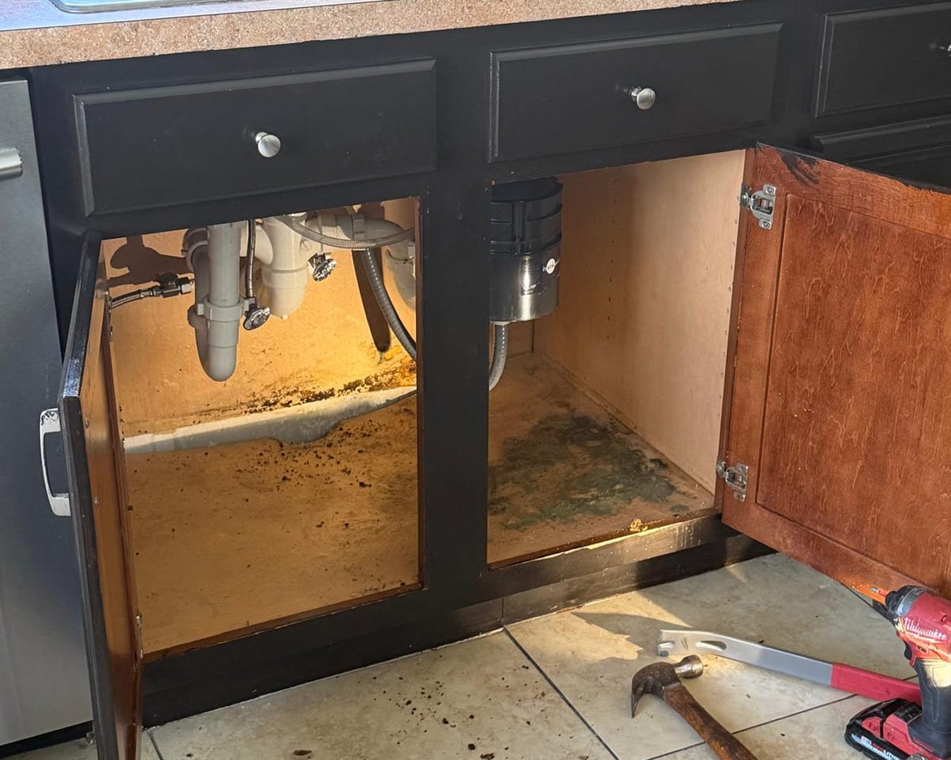 Cabinet before mold remediation